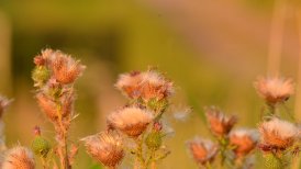 2022 13 en 22 juli 186